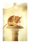 a little less fragile by hyouro