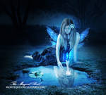 .:The Magical Pond:. by Morteque