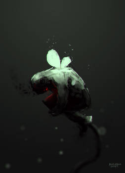 Butterfly Man