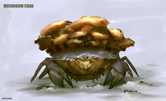 MUSHROOM CRAB