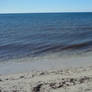 Beach with seaweed