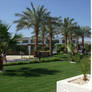 HILTON