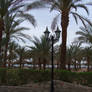 Sharm El Sheikh 3