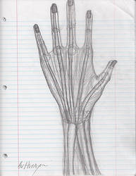 The Hand II