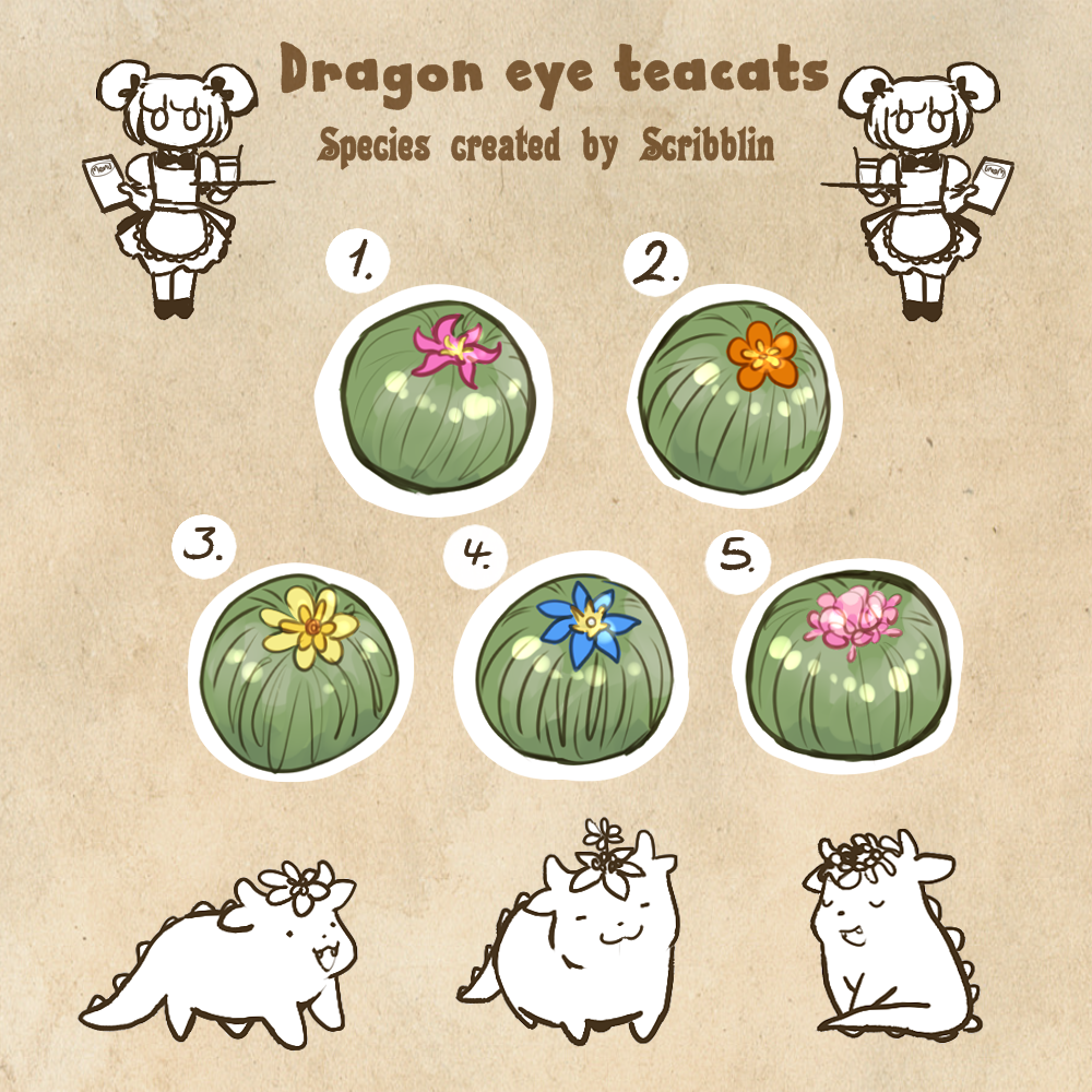 donation Dragon eye teacat eggs [closed]