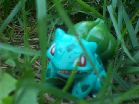 Bulbasaur naturrrrrHe