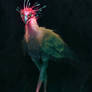 Bioluminescent Bird