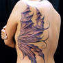 butterfly wing