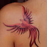 fenix 2