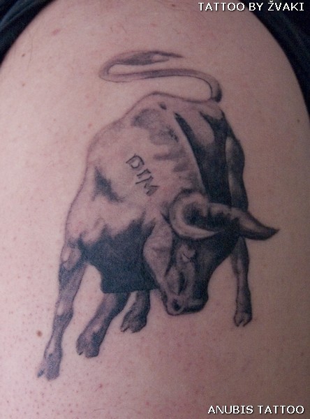 taurus