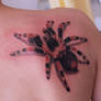 tarantula