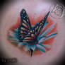 butterfly realism