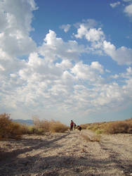 Cloud Road