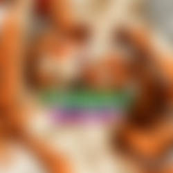 FurryExplicit Header1