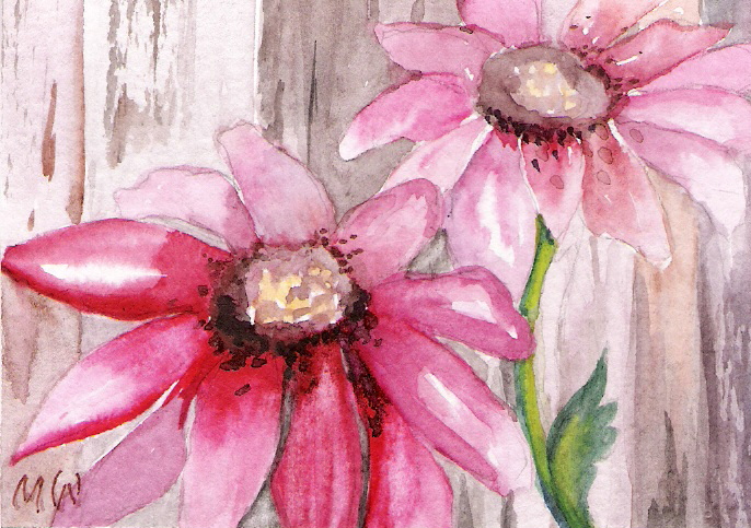 'Two Pink Daisies'