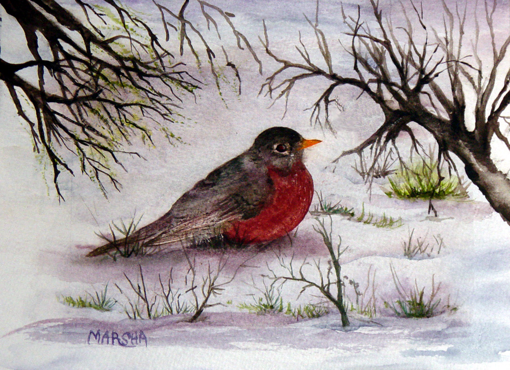 Early Spring Robin