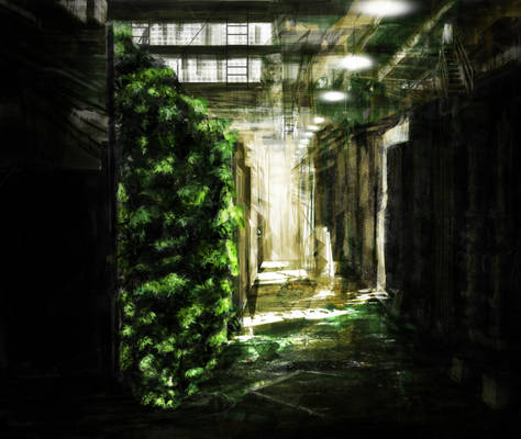 Vertical Garden Concept on Abandoned Warehouse