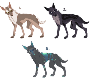 canine adoptables [CLOSED]