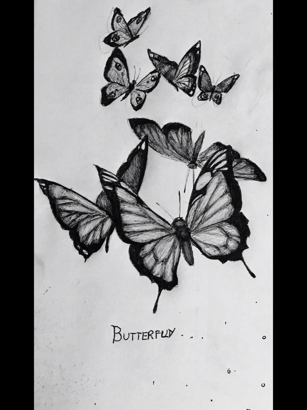 Butterfly pen drawing by LucyRoddam on DeviantArt