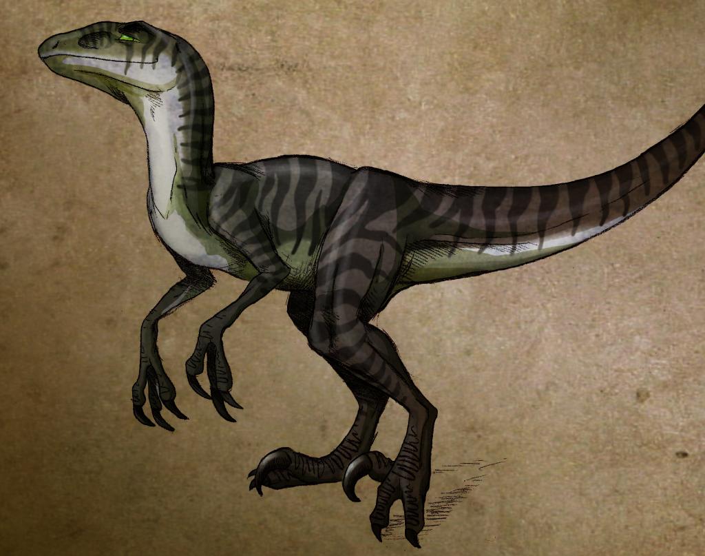 The ladies raptor by Sturmblut on DeviantArt