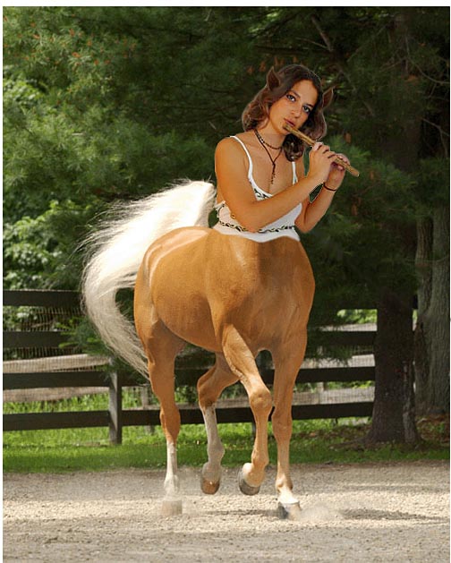 The Centaur