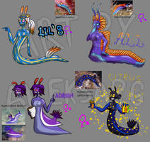 Sea slug Adoptables