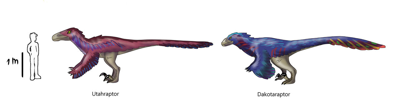 Martha Raptor Size Raptor size chart by AleksaBG on DeviantArt