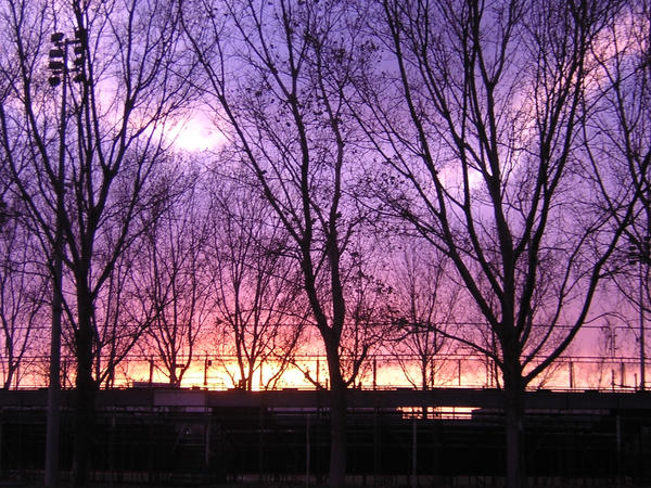 Violet sky. by alexienne on DeviantArt