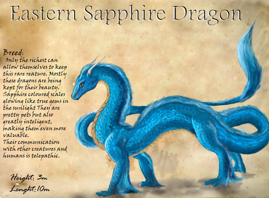 Sapphire dragon