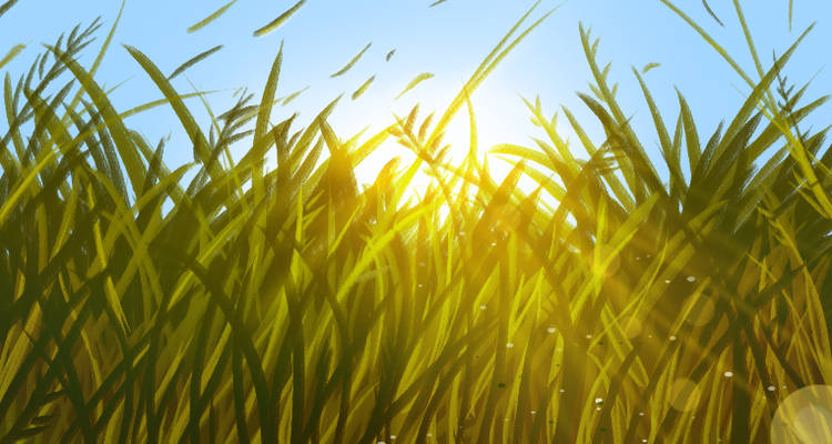 Painting Grass Easy 4 godraygrass by kennethwanderer ddqyd76