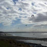 CorinneFriesen-20140214-EastBeachWindsurfing-1