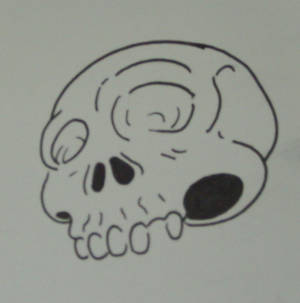 Skull