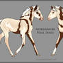 7658 Foal Design