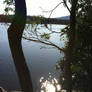 Lake and Foliage