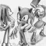 Team Sonic Go!