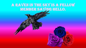 A small poem for Raven