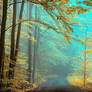 Yellow Forest