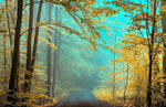 Yellow Forest by Justine1985