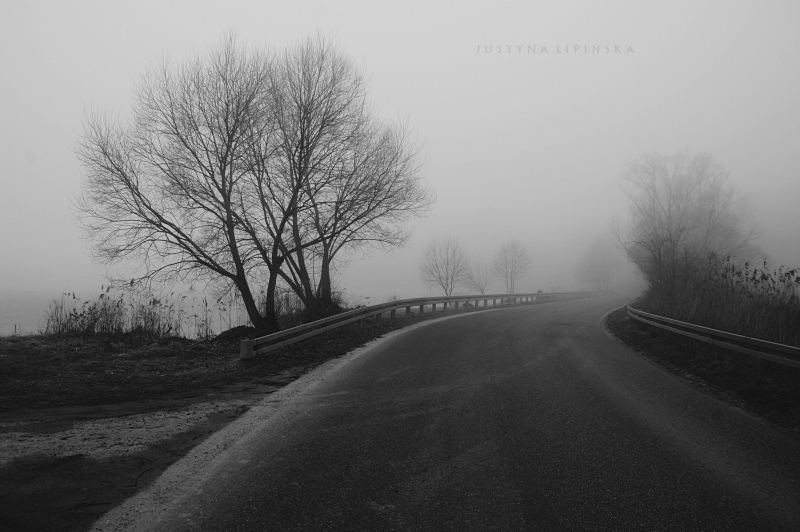 Misty Road