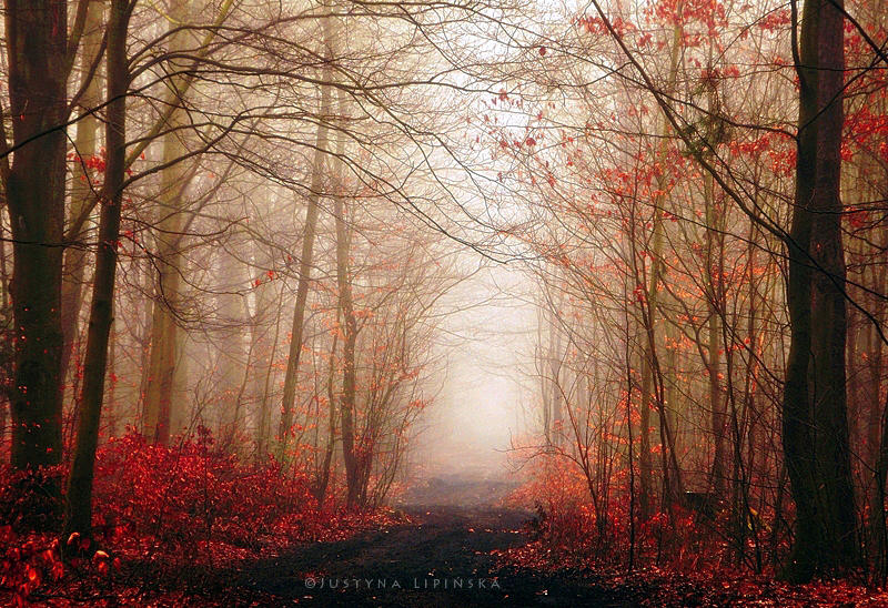 Misty Fall by Justine1985