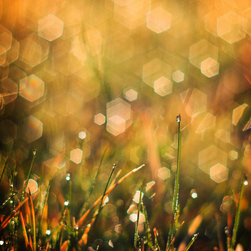Rhode Spring Drop Spring Drop by Justine1985 on DeviantArt