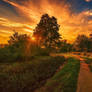 Evening Path