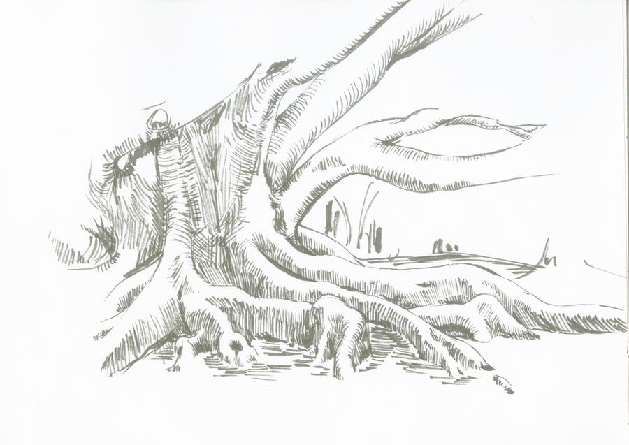 Fig Tree Vector Deviantart Auckland Fig Tree by granowsb on DeviantArt