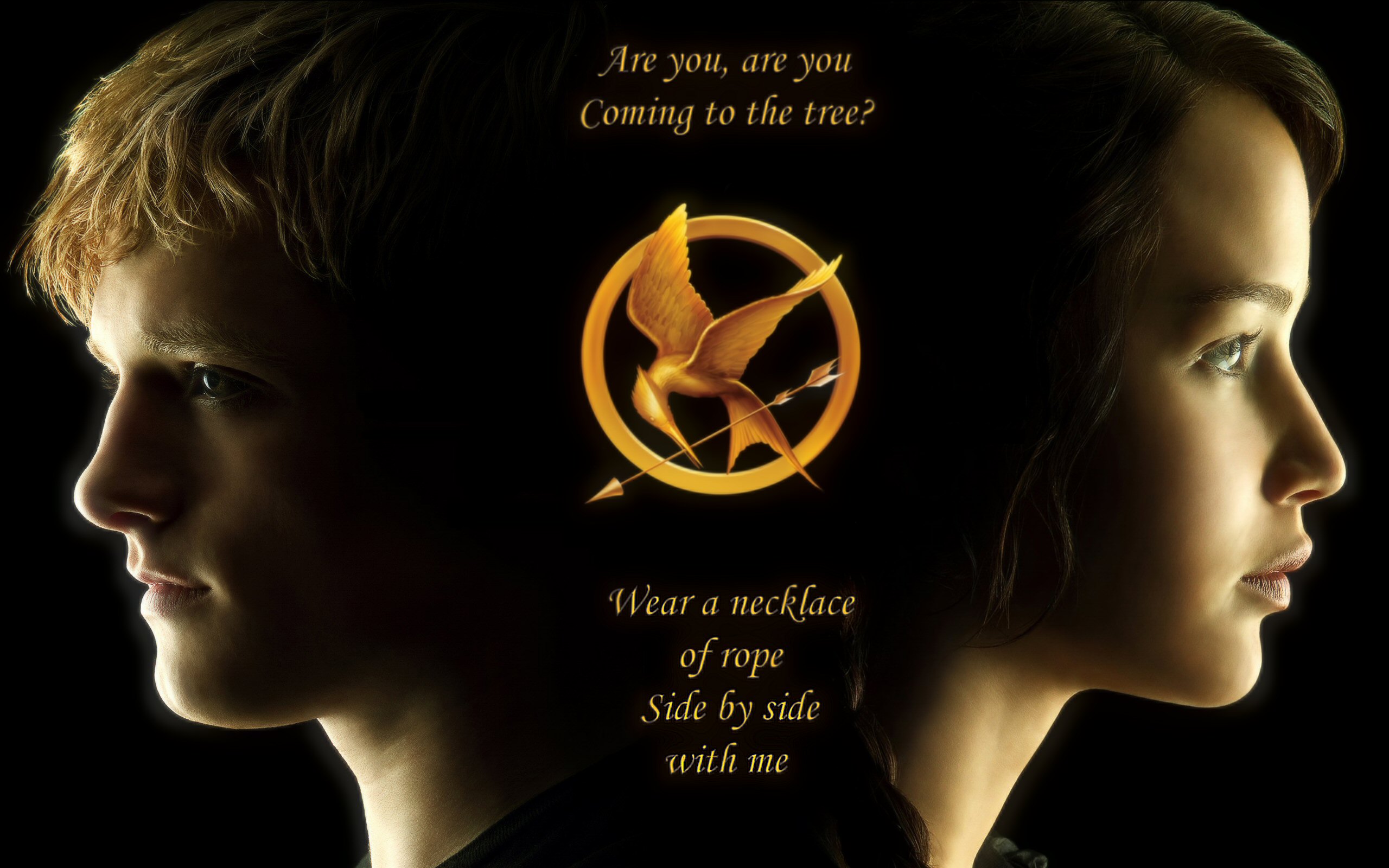 The Hunger games  Hunger games fan art, Hunger games wallpaper