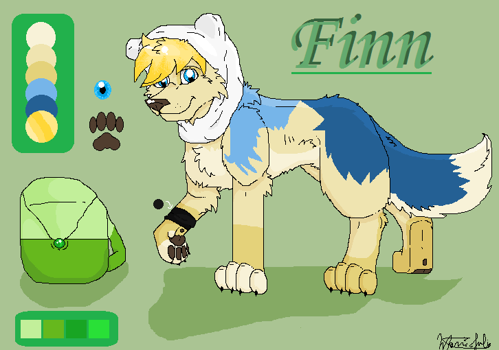 Finn the wolf