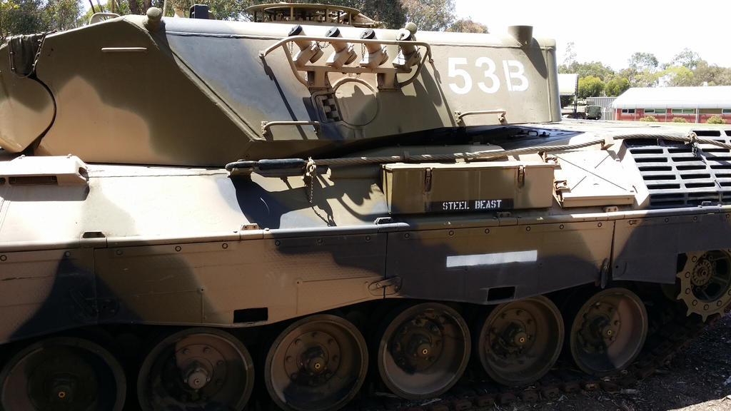 Aussie Leopard 1 Puckapunyal 002 by AndrewC001 on DeviantArt
