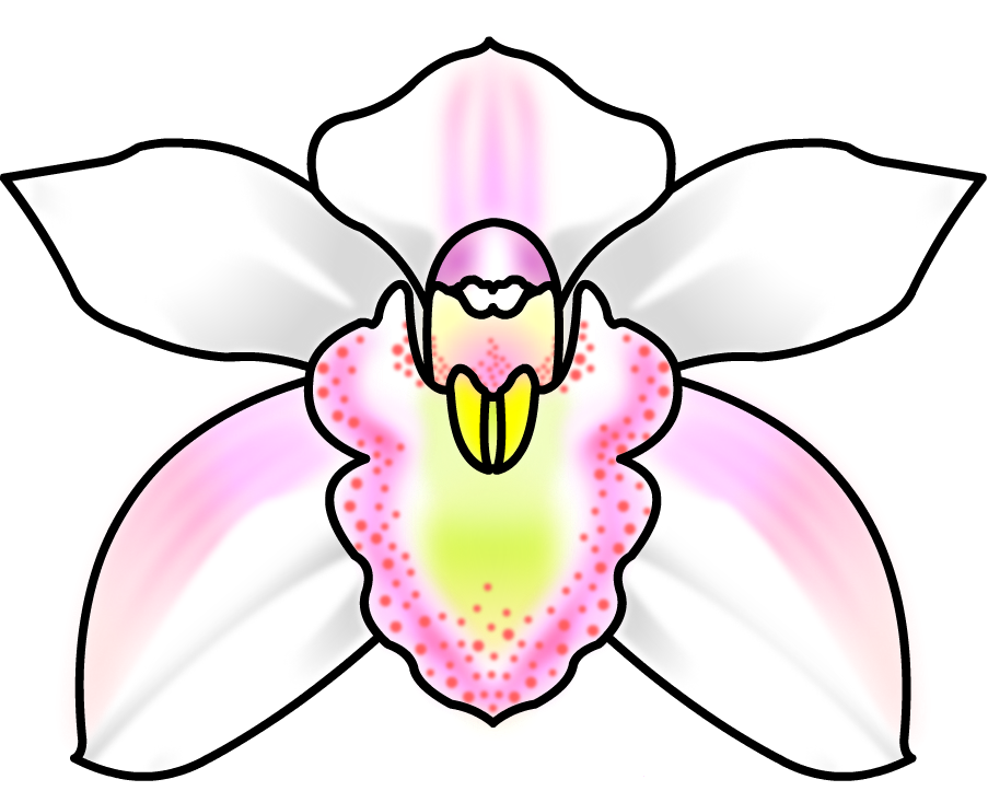 Orchid design 1