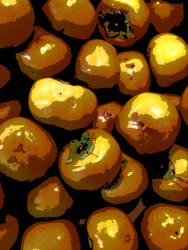 Persimmons