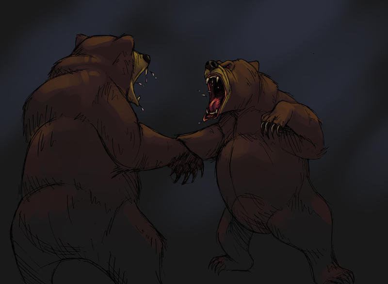 BEARS