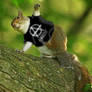 Anarchy Squirrel